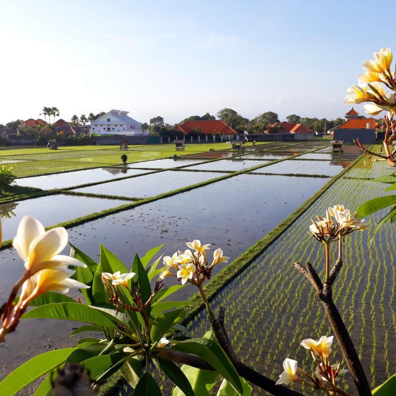 The Avani Villas Kuta Lombok Exteriör bild